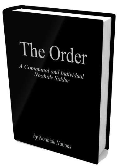 The Order - Softcover (-$5.00)